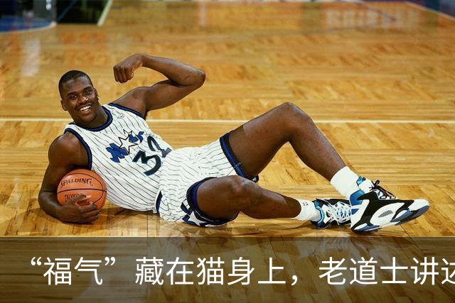 “福气”藏在猫身上，老道士讲述：它爱呆的地方，是守护你家财路