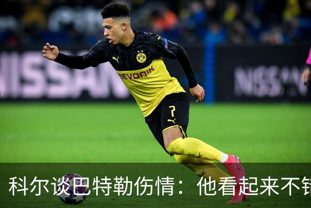 科尔谈巴特勒伤情：他看起来不错，感觉也很好