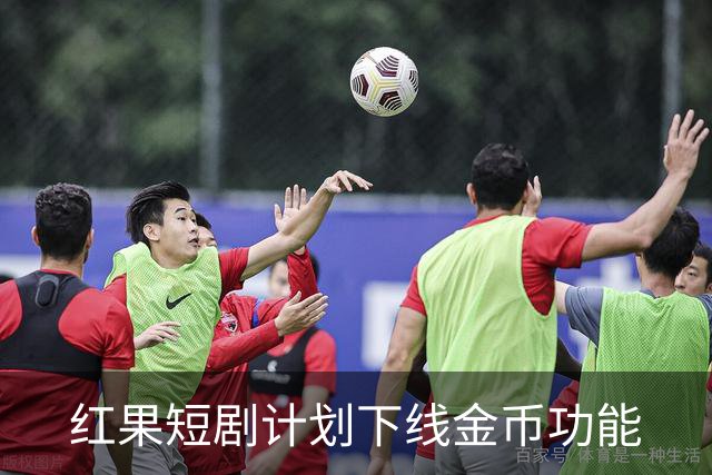 红果短剧计划下线金币功能