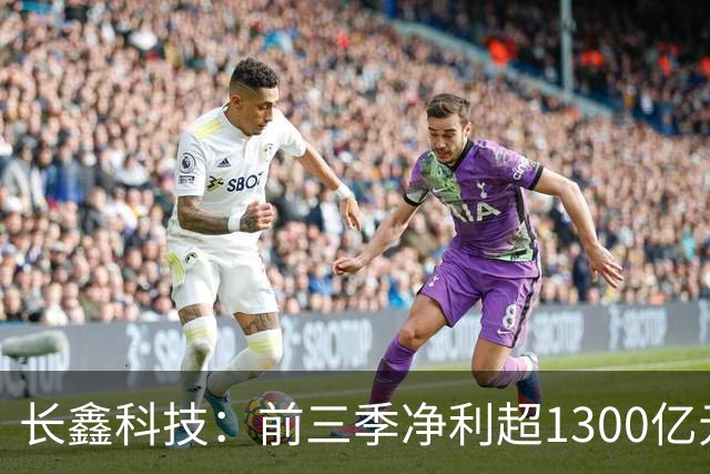 长鑫科技：前三季净利超1300亿元！