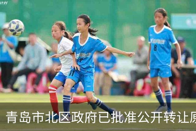 青岛市北区政府已批准公开转让原东方贸易大厦，标的地上14层建面超3万㎡，目前已被环海湾文旅集团抵押给银行