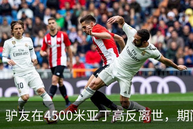 驴友在4500米亚丁高反离世，期间姐姐全网求免费直升机，牧民报价1万被她拉黑